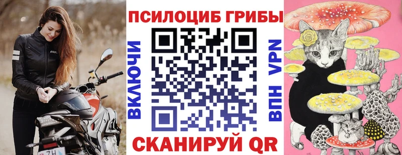 даркнет сайт  Нолинск  Псилоцибиновые грибы MAGIC MUSHROOMS 
